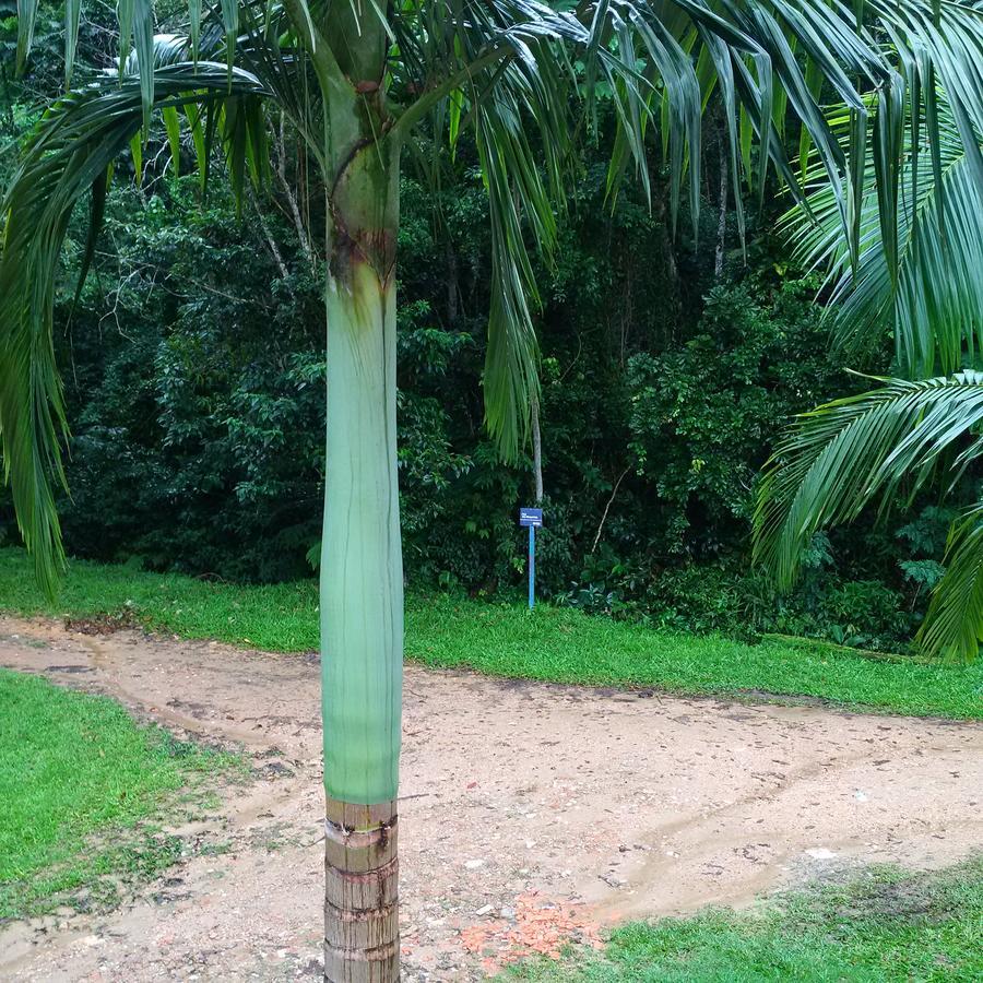 Suítes Da Lagoinha Inn Ubatuba